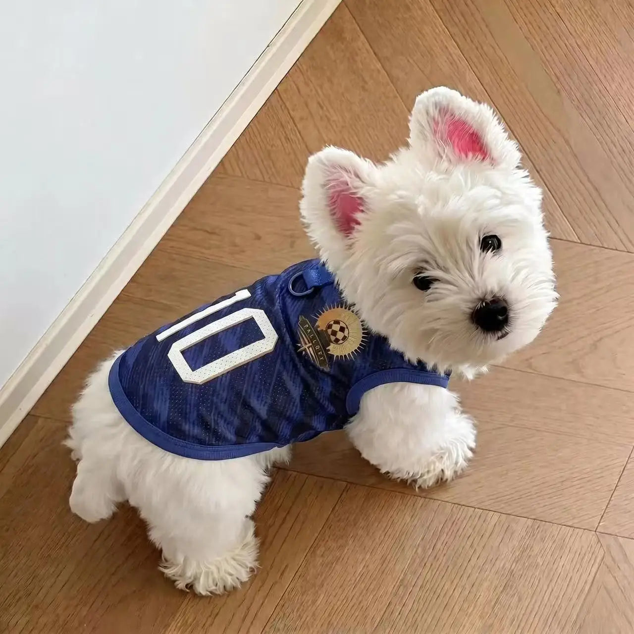 Breathable Mesh Dog Soccer Jersey