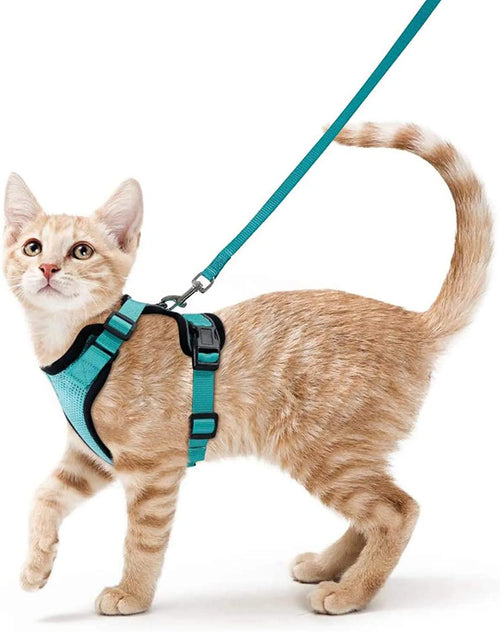 Adjustable Cat Harness and Leash Set