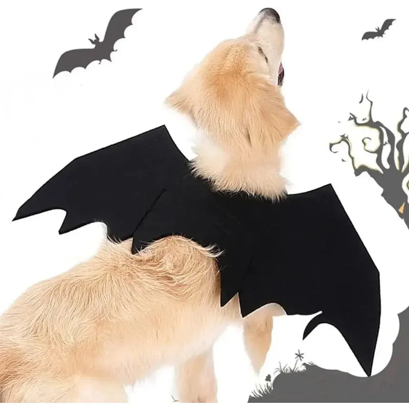 Bat Wings Pet Costume for Halloween