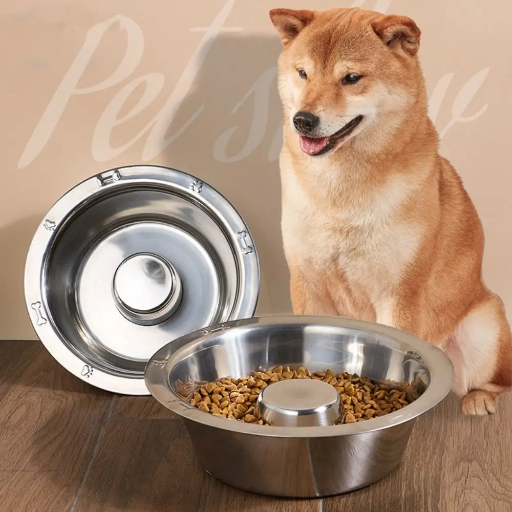 Dog beside stainless steel feeding bowl