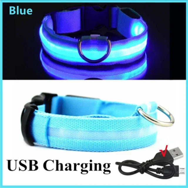 USB Rechargeable Light-Up Dog Collar