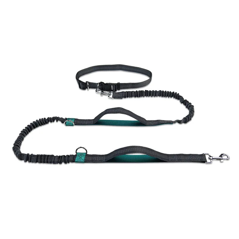 Retractable Bungee Canicross Dog Leash