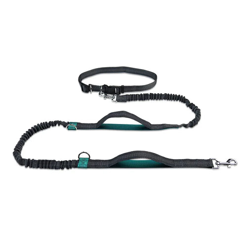 Retractable Bungee Canicross Dog Leash for dogs