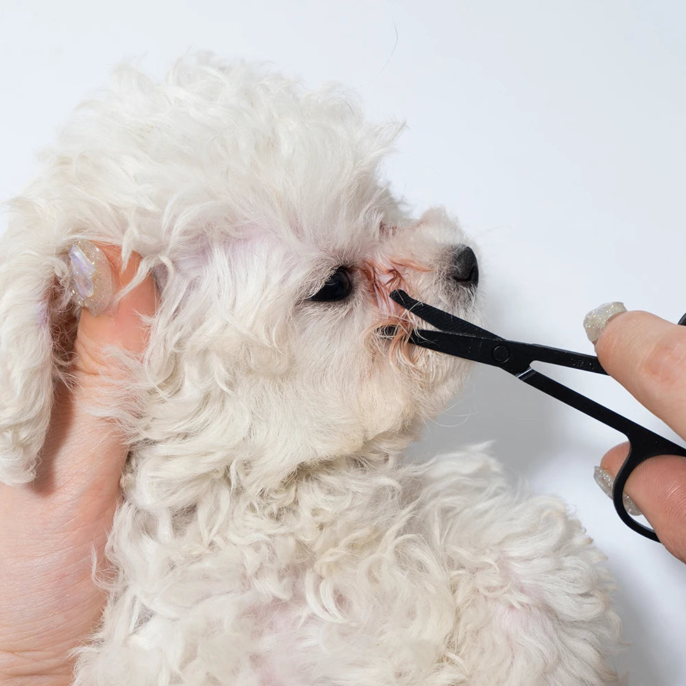 Pet Comb for Facial Cleaning