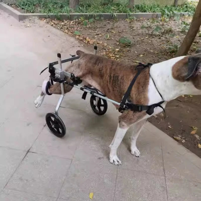 Large Dog Wheelchair for Hind Limb Support