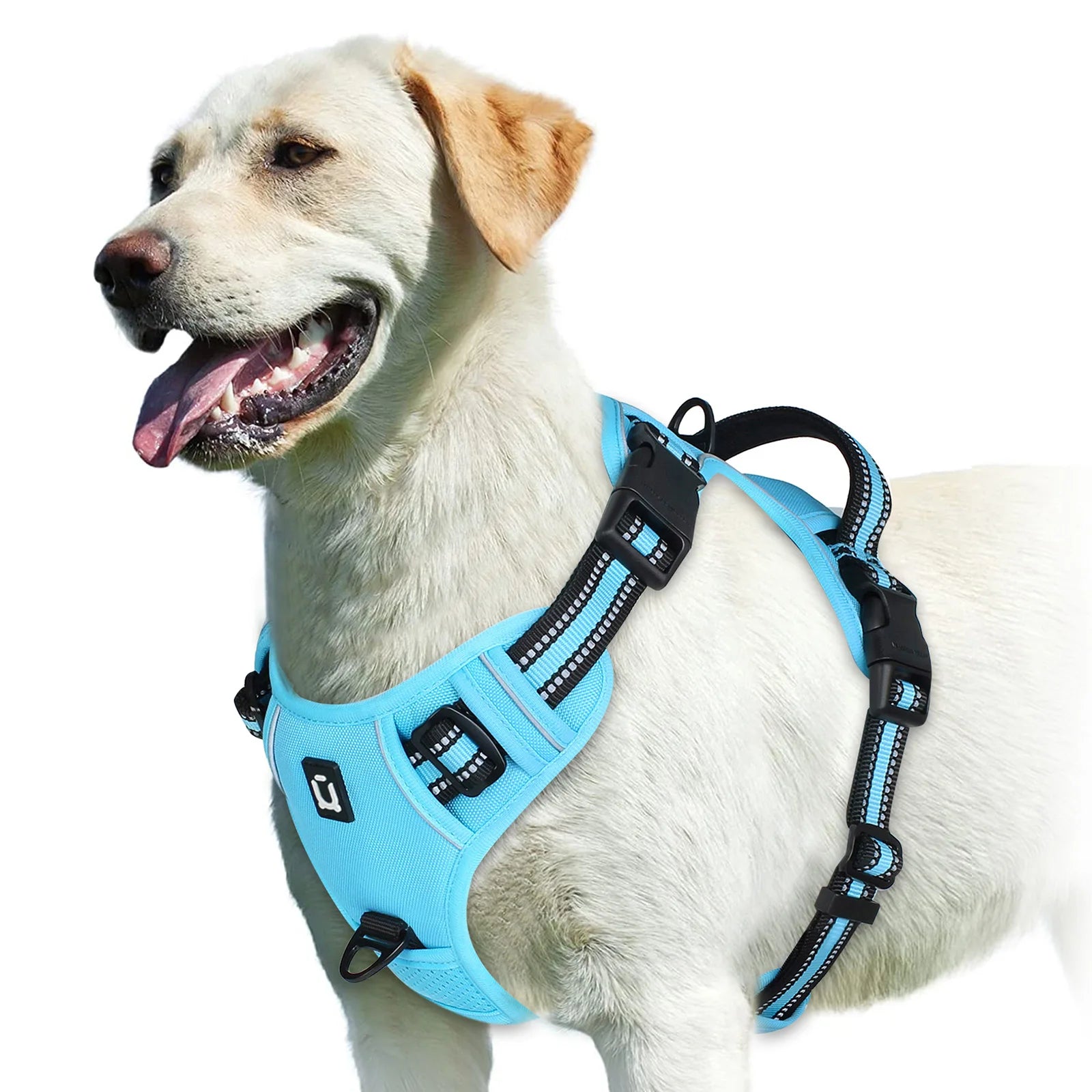 No Pull Soft Padded Dog Harness