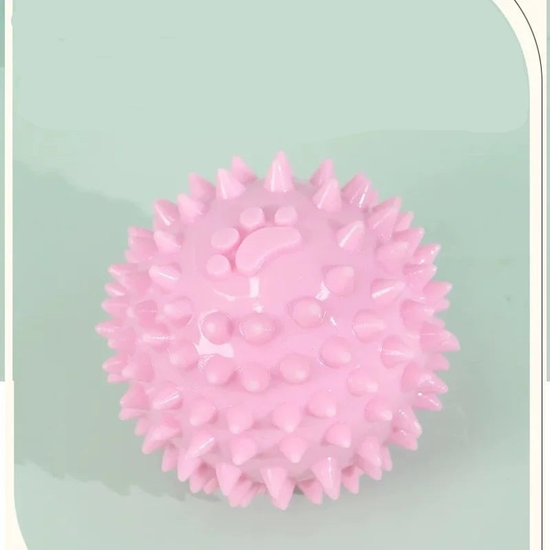 Interactive Pet Rubber Ball Toy