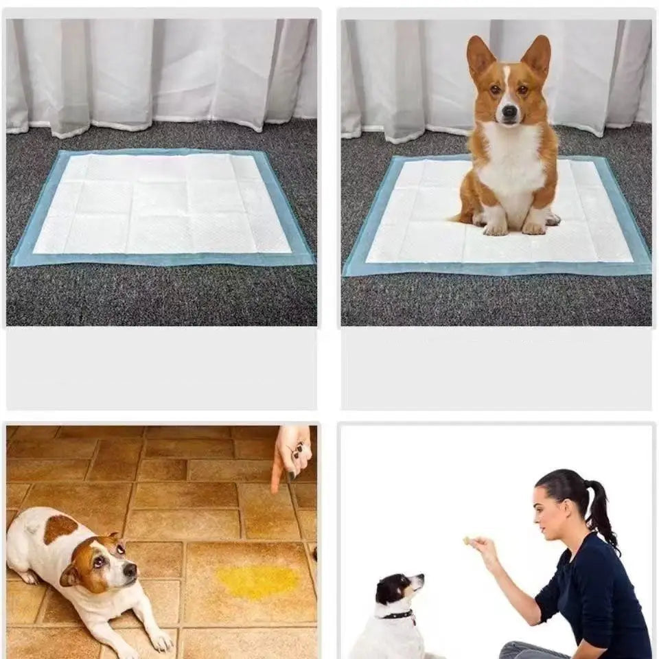 Quick Dry Disposable Pet Diapers