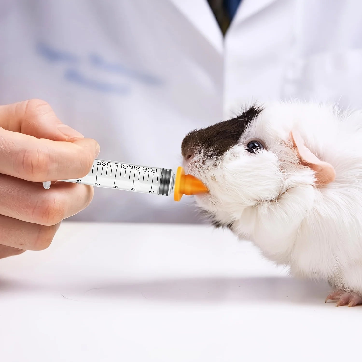 Pet Feeding Kit Bottle