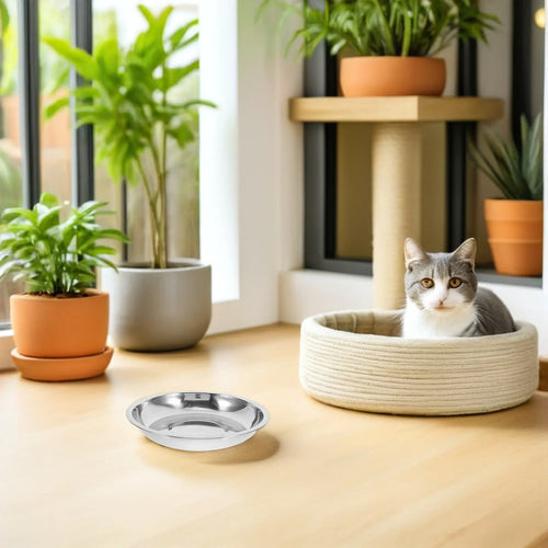 Flat Shallow Metal Feeding Pet Bowl