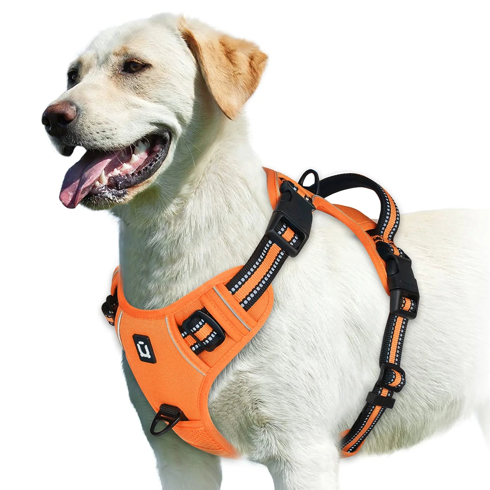 No Pull Soft Padded Dog Harness