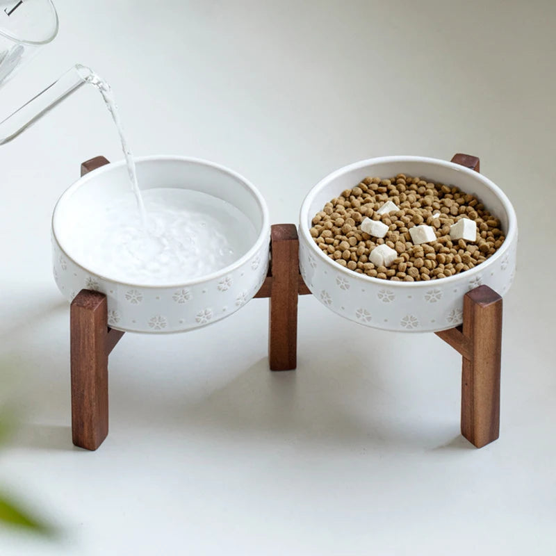 Elevated Dog Feeding Bowl Set