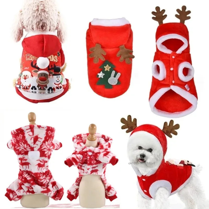Christmas Santa Costume for Dogs and Cats