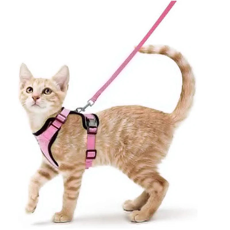 Adjustable Cat Harness and Leash Set