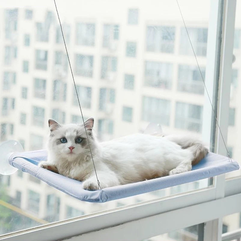 Cat Window Hammock Bed