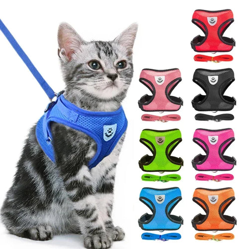 Adjustable Collar With Leash For Pets for Australian cats