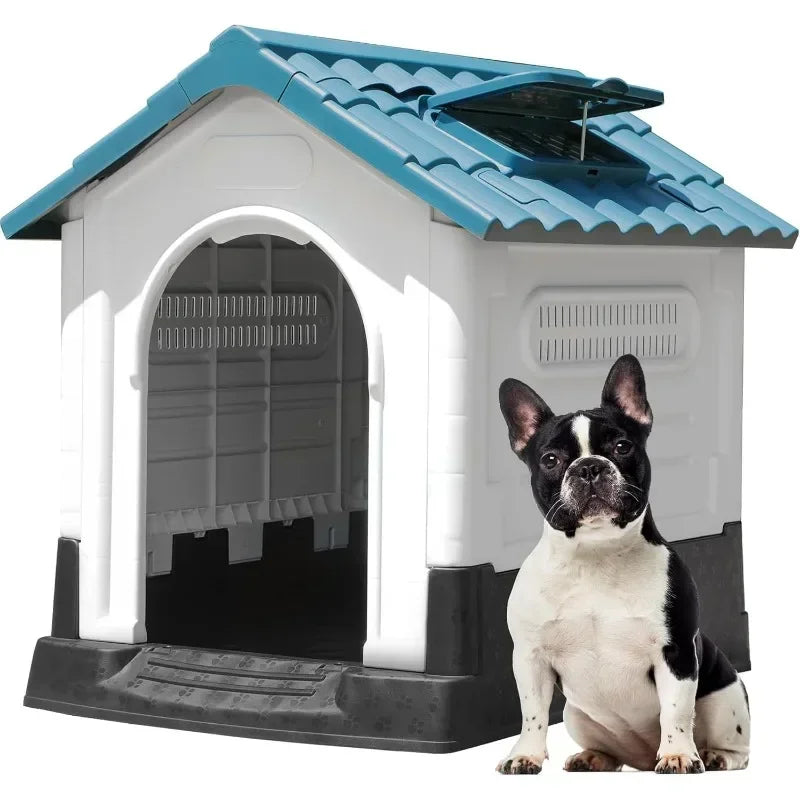 Outdoor Dog Kennel