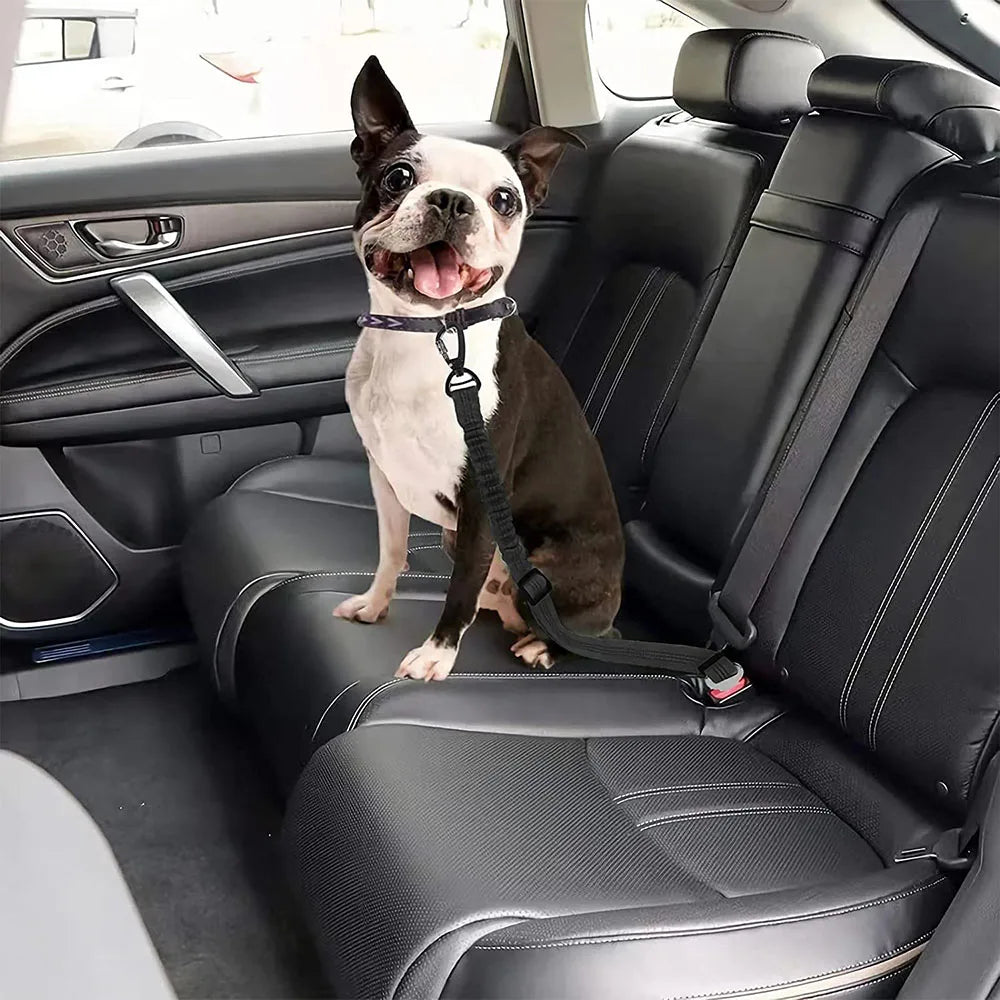 Dog Safety Seatbelt