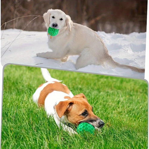 Natural Rubber Dog Chew Ball with Squeaker