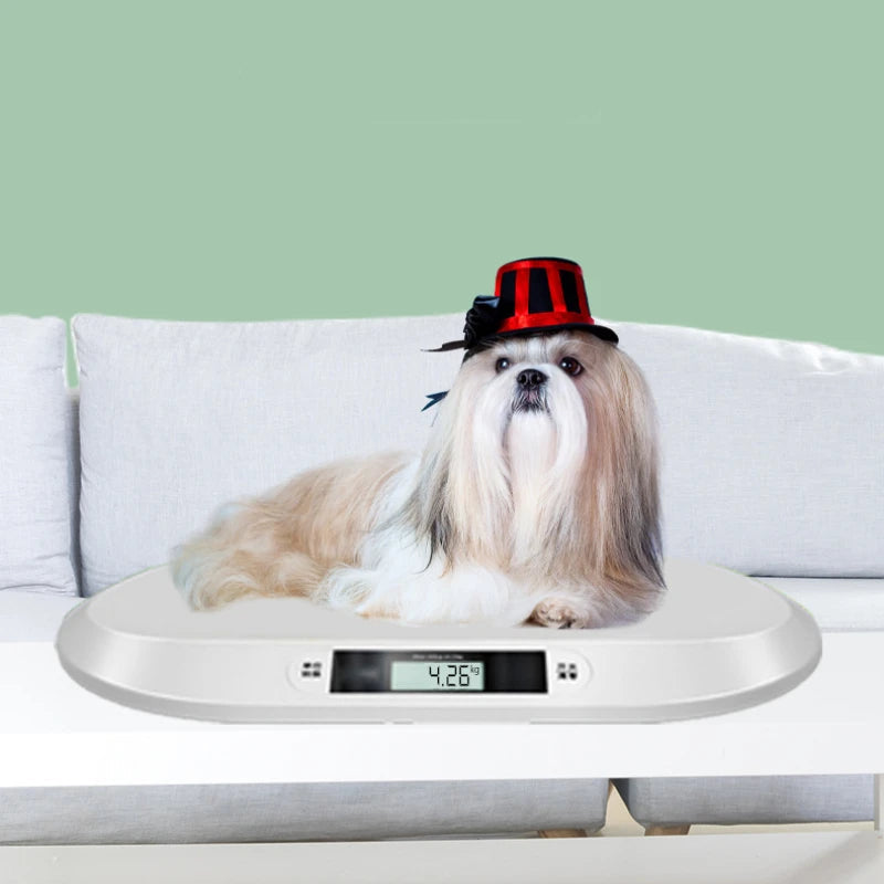 Precision Pet Weighing Scale