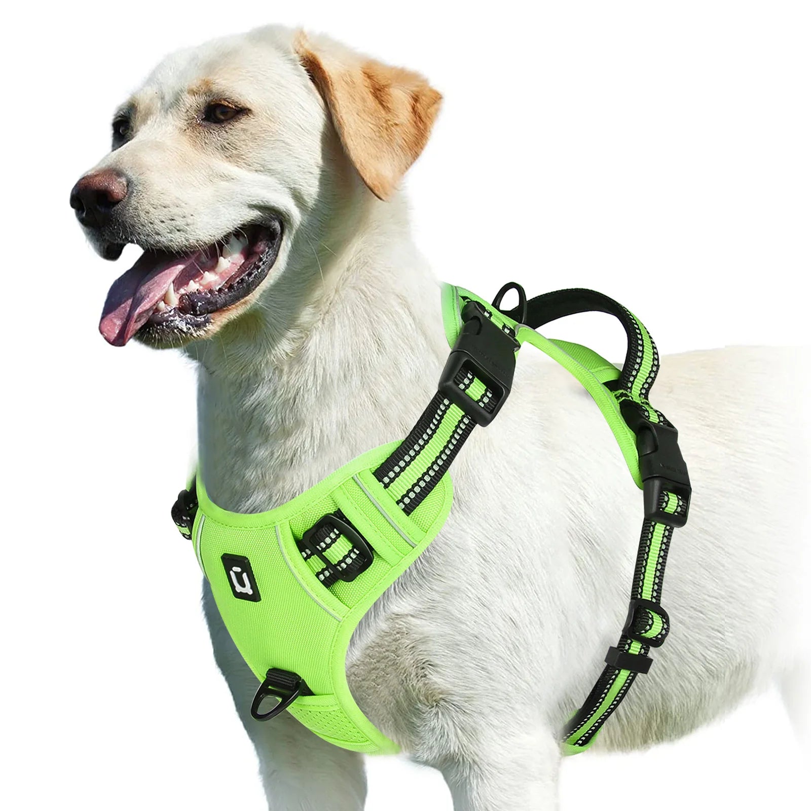 No Pull Soft Padded Dog Harness