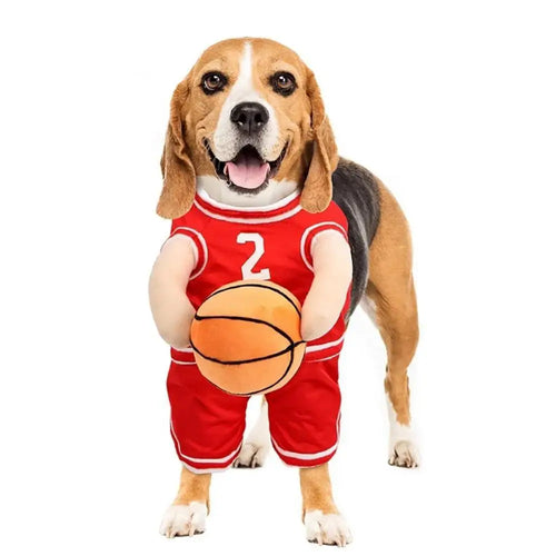 Basketball Playing Inspired Dog Costume for Australian dogs