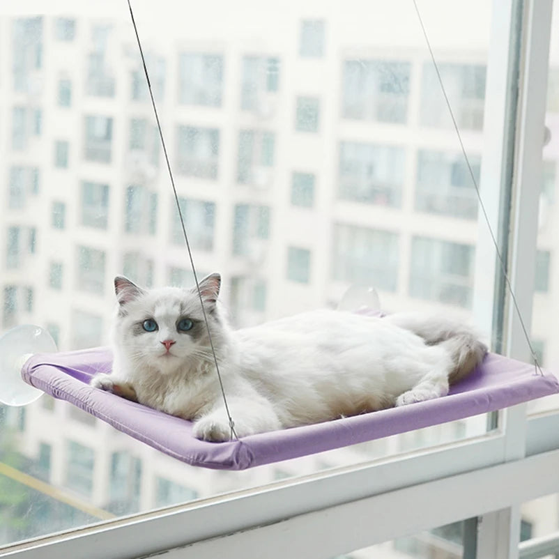 Cat Window Hammock Bed