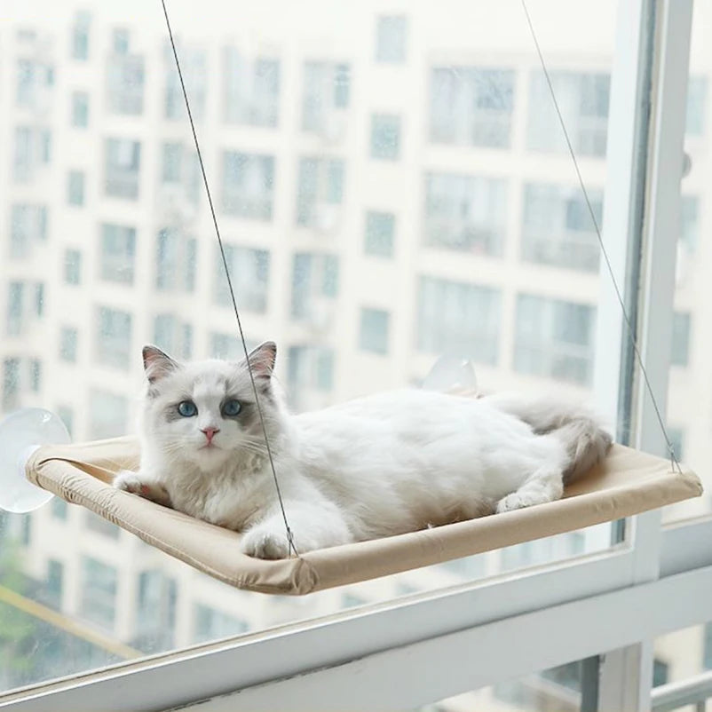 Cat Window Hammock Bed