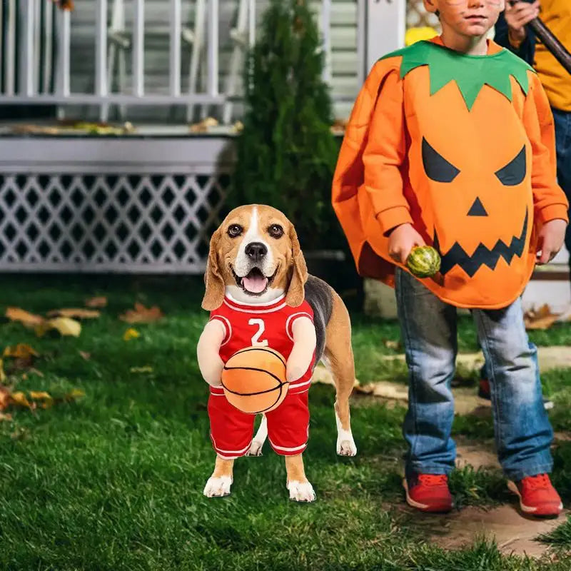 Basketball Playing Dog Inspired Costume