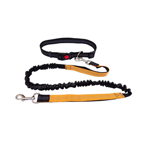 Hands-Free Reflective Dog Leash for dogs