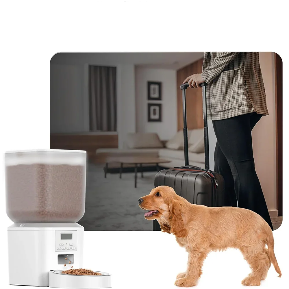 Automatic Pet Food Dispenser