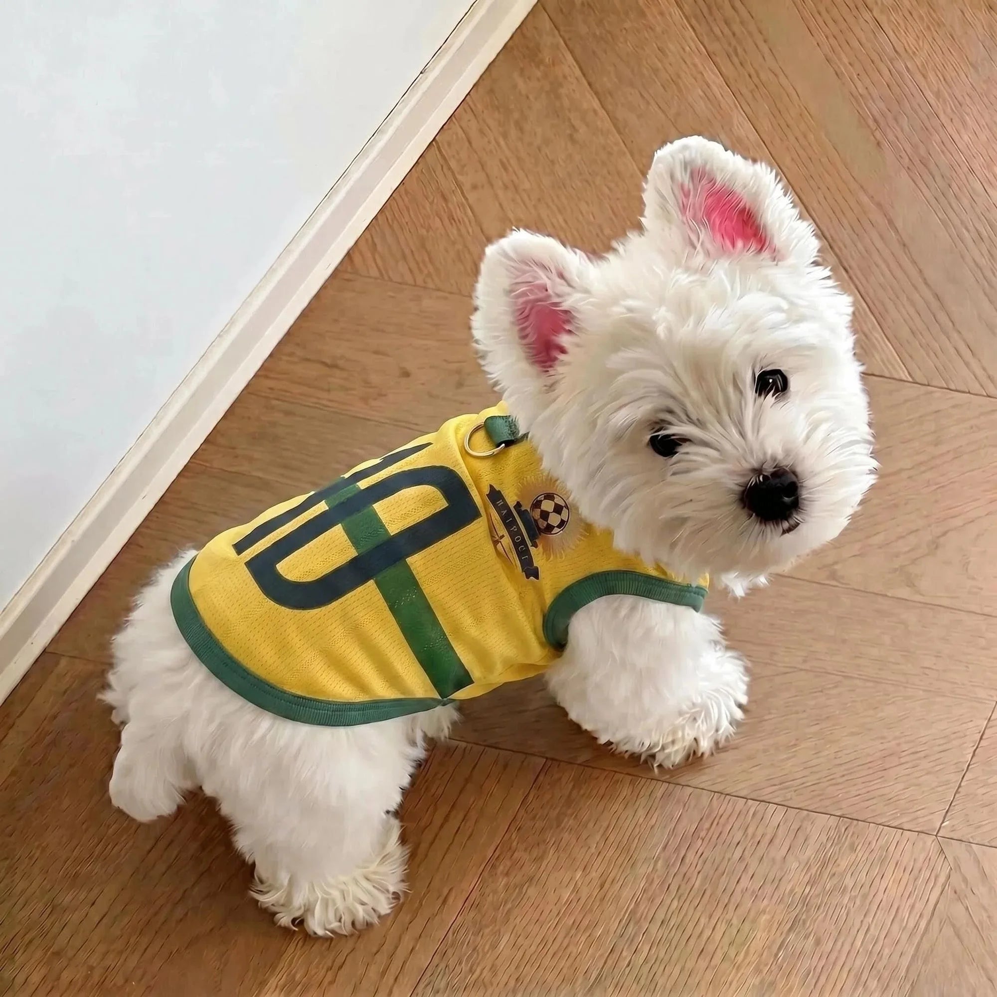 Breathable Mesh Dog Soccer Jersey