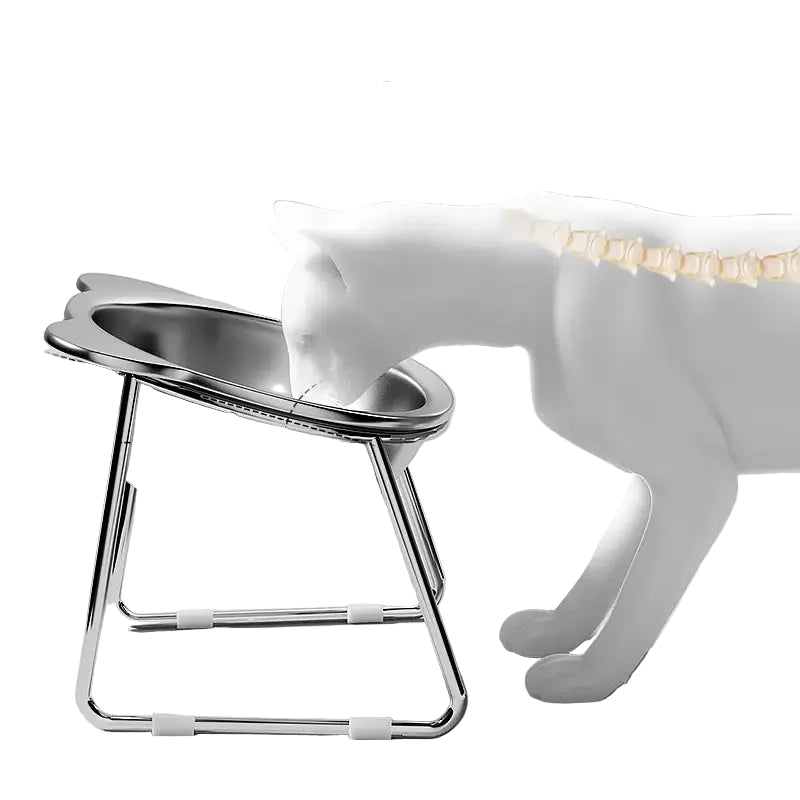 Cats Stainless Steel Tilted Neck Guard Food Bowl