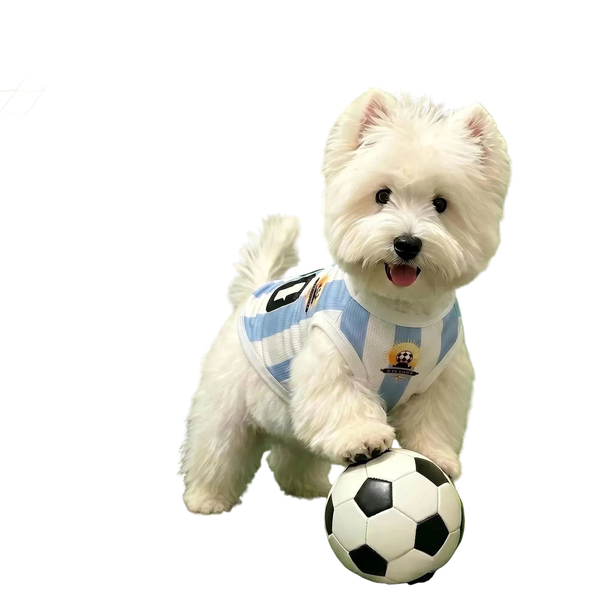 Breathable Mesh Dog Soccer Jersey