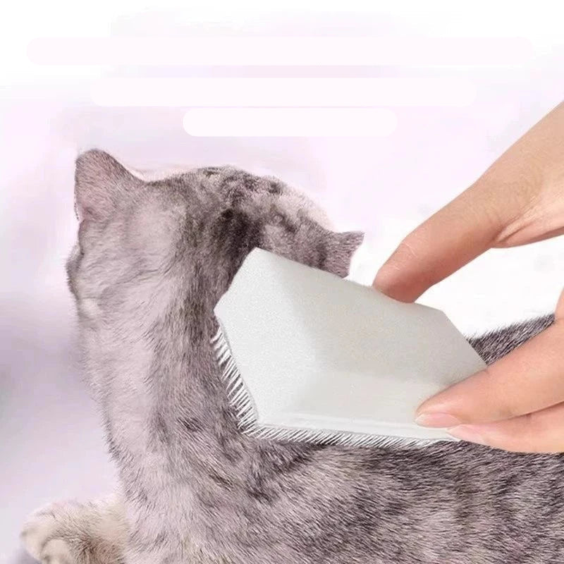 Multifunctional Sponge Cleaning Pet Brush Comb