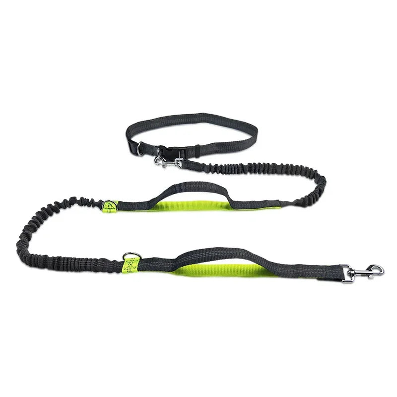 Retractable Bungee Canicross Dog Leash