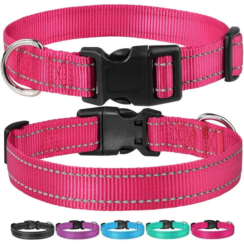 Dog Collar Strap With Adjustable Safety Nylon