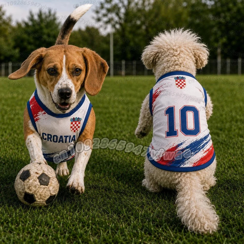 Croatia No.10 Pet Soccer Jersey