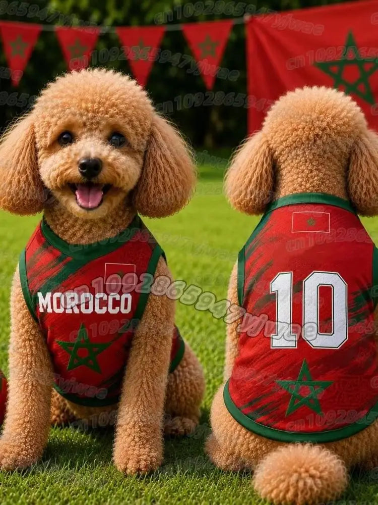 Turkey Football Pet Jersey