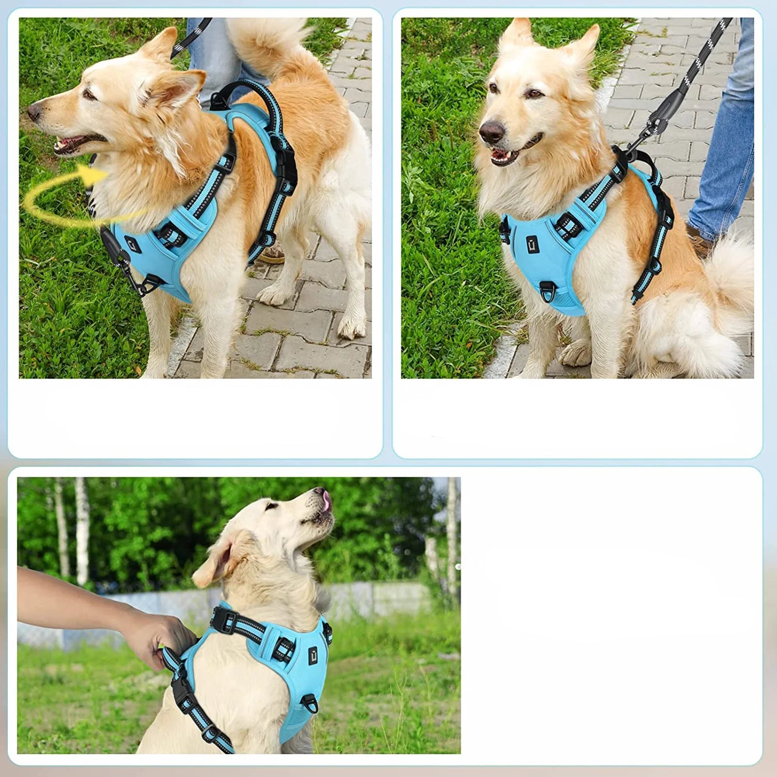 No Pull Soft Padded Dog Harness