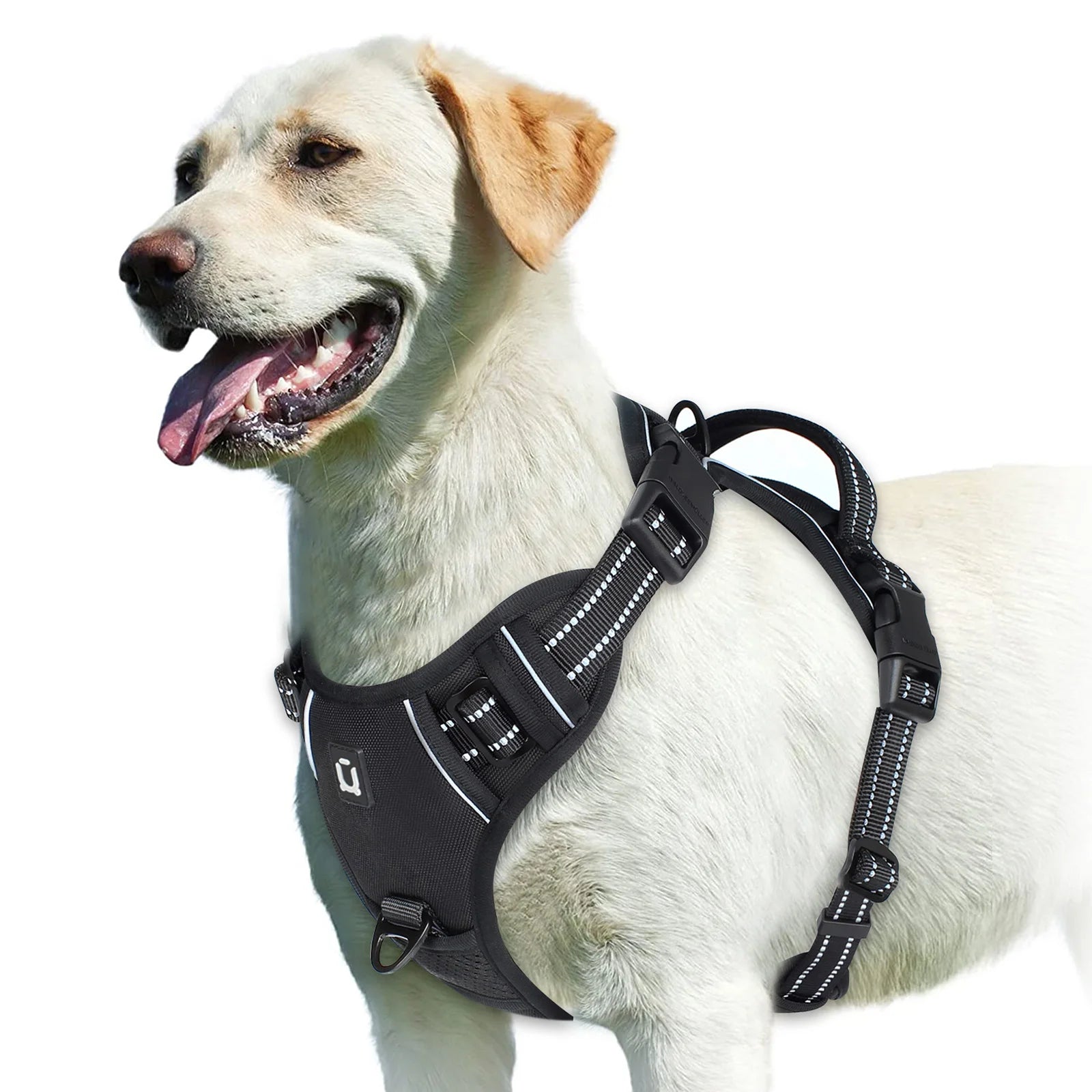 No Pull Soft Padded Dog Harness