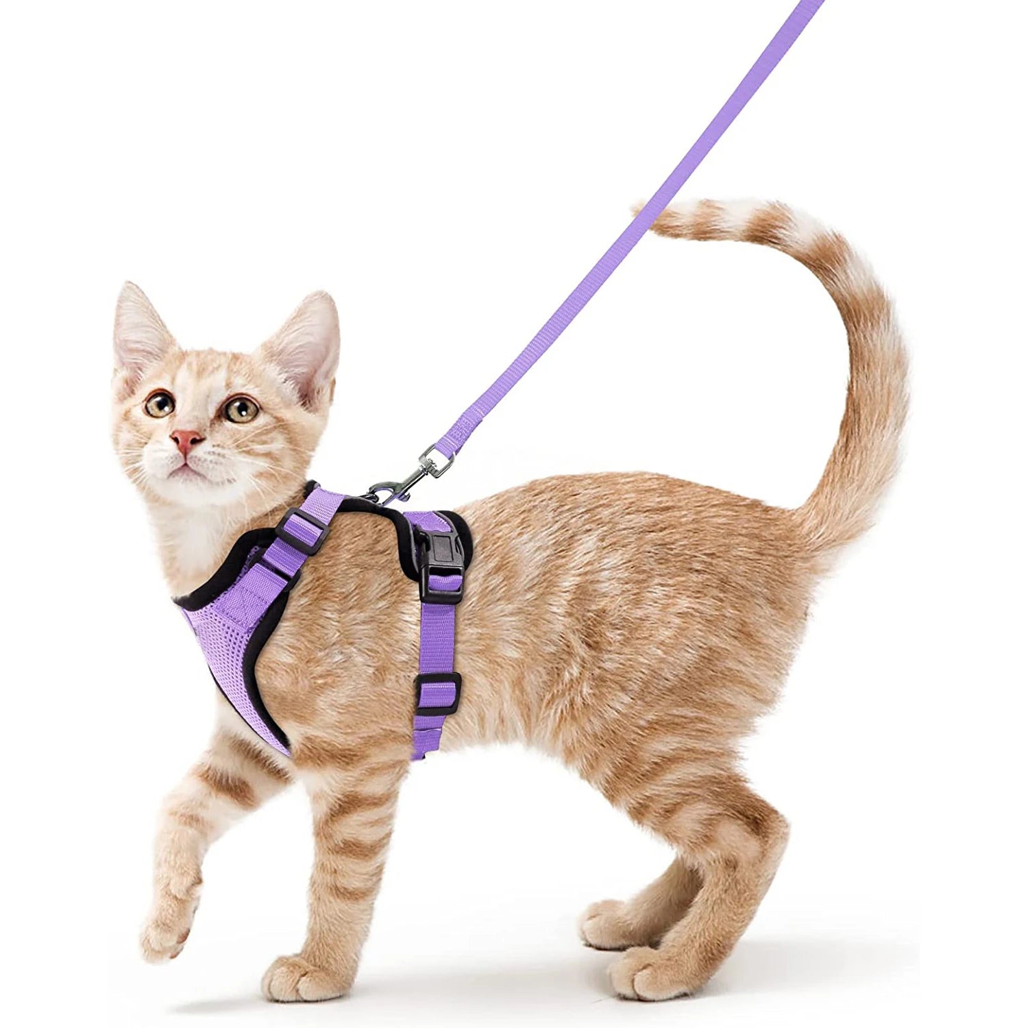 Adjustable Cat Harness and Leash Set