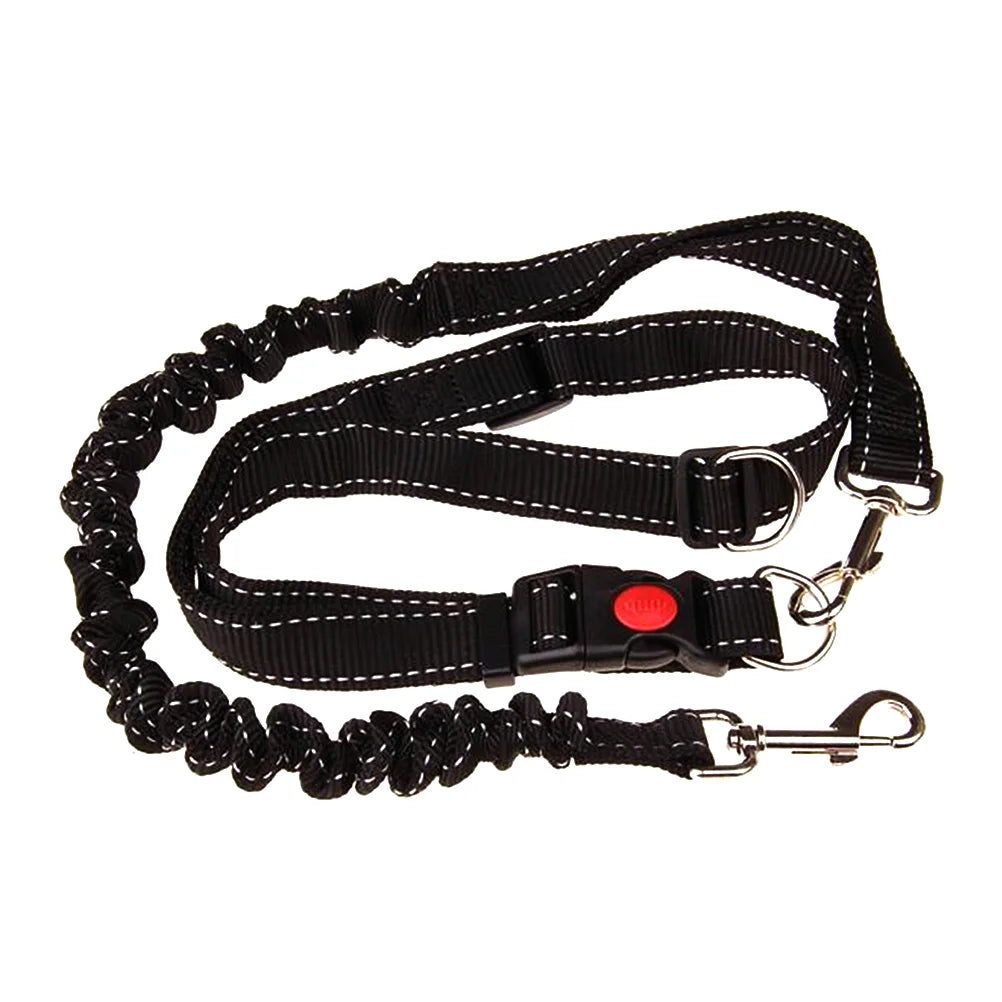 Cani-Hiking Bungee Leash