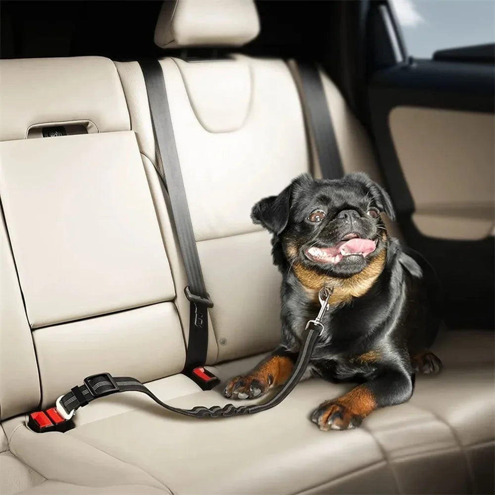 Adjustable Car Seatbelt for Pets