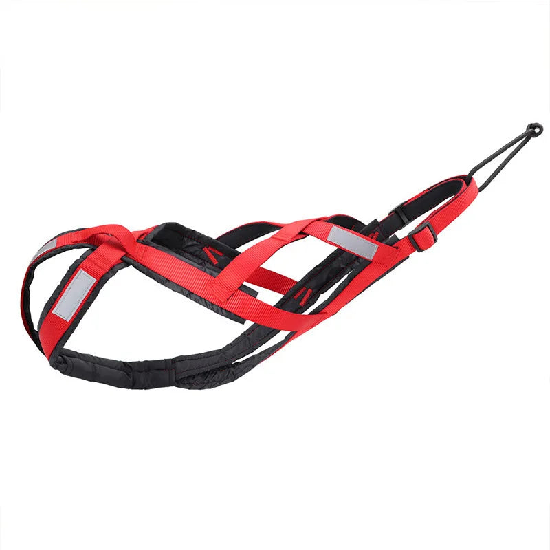 Durable Dog Harness for dogs