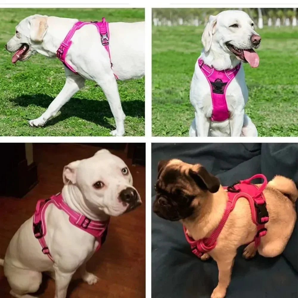 Reflective Pet Harness for Pets