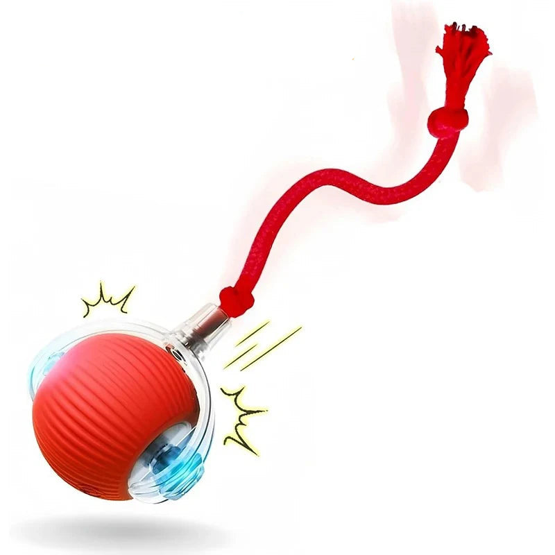New Automatic Rolling Ball Toy for Cats