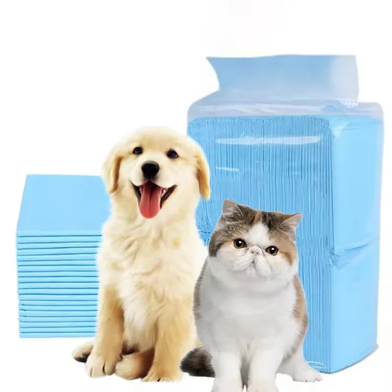 A further view of the Blue Absorbent Pet Training Pads