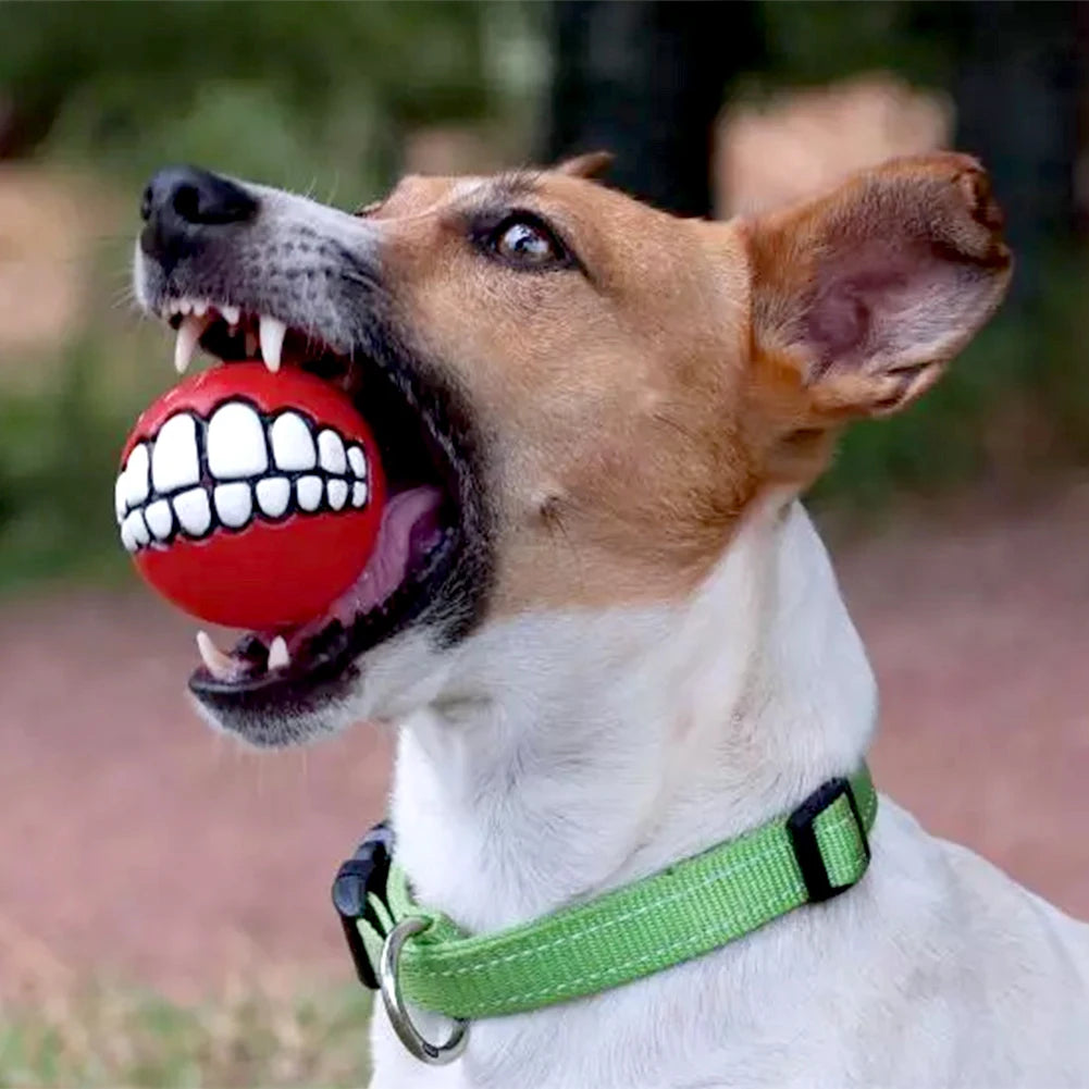 Rubber Squeaky Teeth Ball Chew Toys Pack