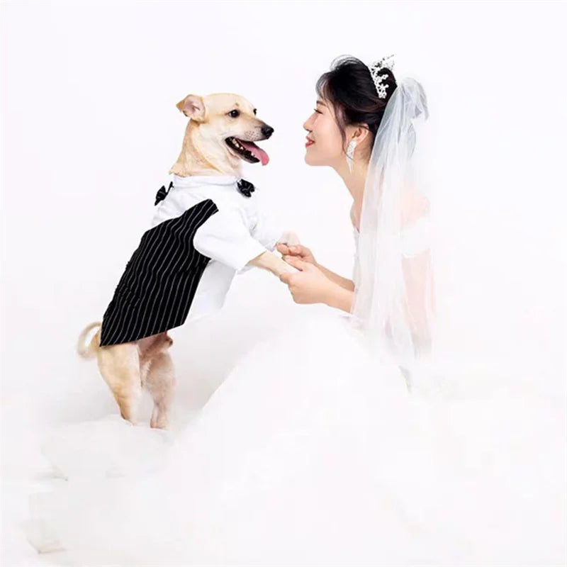 Custome Pet Party Tuxedo Attire